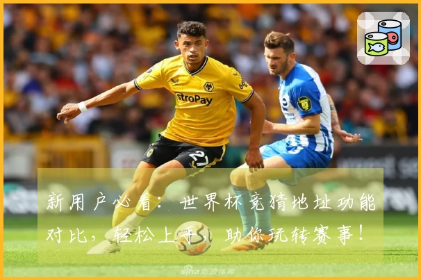 新用户必看：世界杯竞猜地址功能对比，轻松上手，助你玩转赛事！