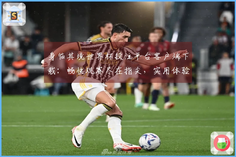 身临其境世界杯投注平台客户端下载：畅快观赛尽在指尖，实用体验全解析